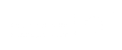 Flag Eu 01